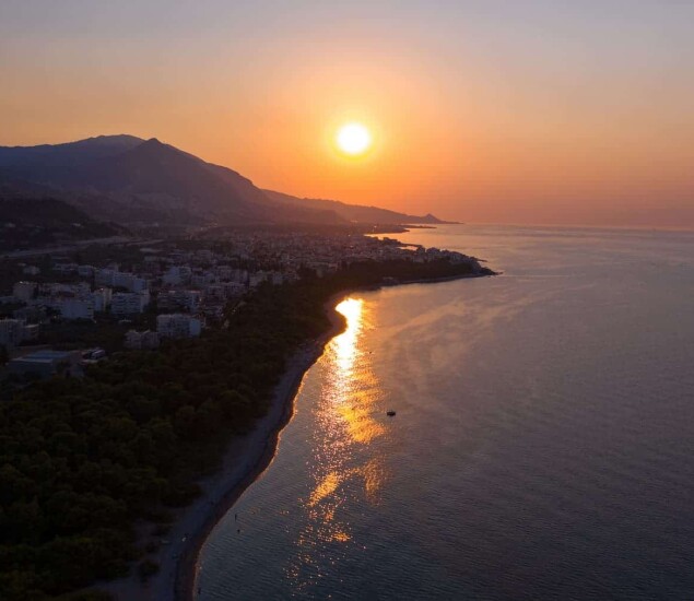 The Forest 11 SIKYON_COAST_PEFKIAS_FOREST_6